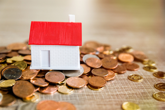 1号站登录, 1号站登录,